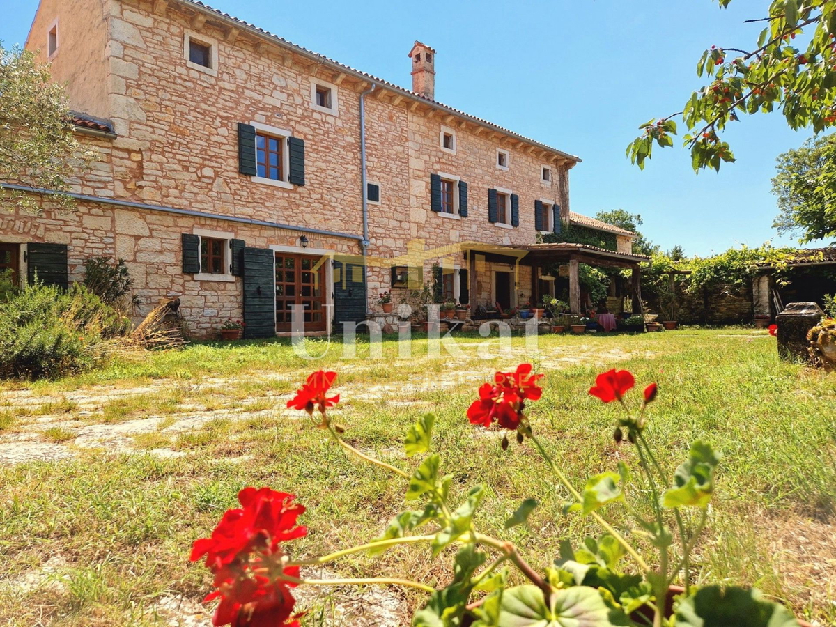 Autentica proprietà con casa in pietra e ampio terreno